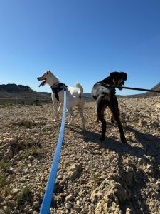 PHOTO-2025-10-30-17-11-51 3